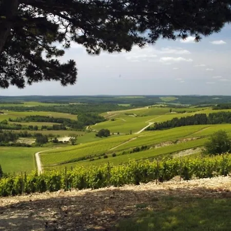 Petite Maison Rustique Pleine De Caractere Tatil Evi Pont-sur-Seine