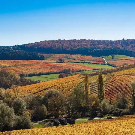 Maison Calme Et Chaleureuse A La Campagne *